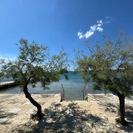 Mobile Agata スヴェティ・ペタル